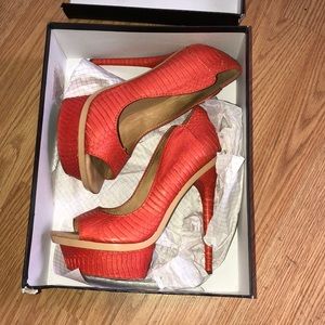 Lamb coral snake heels